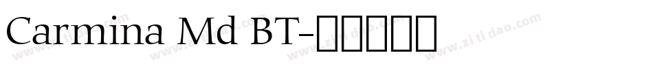 Carmina Md BT字体转换